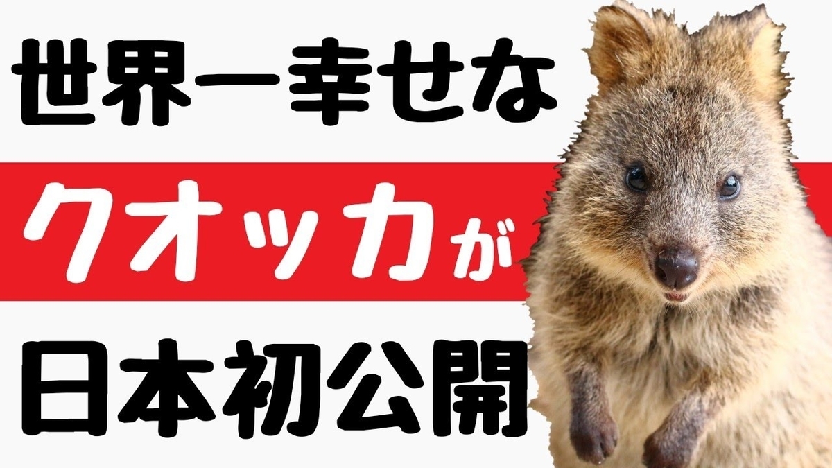 f:id:xkomchan:20200702104715j:plain f:id:xkomchan:20200702104715j:plain