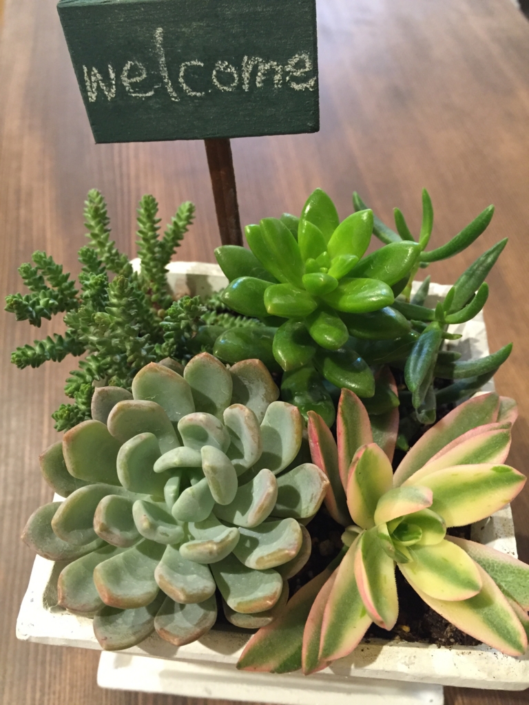 f:id:xkoron:20170120202230j:plain f:id:xkoron:20170120202230j:plain