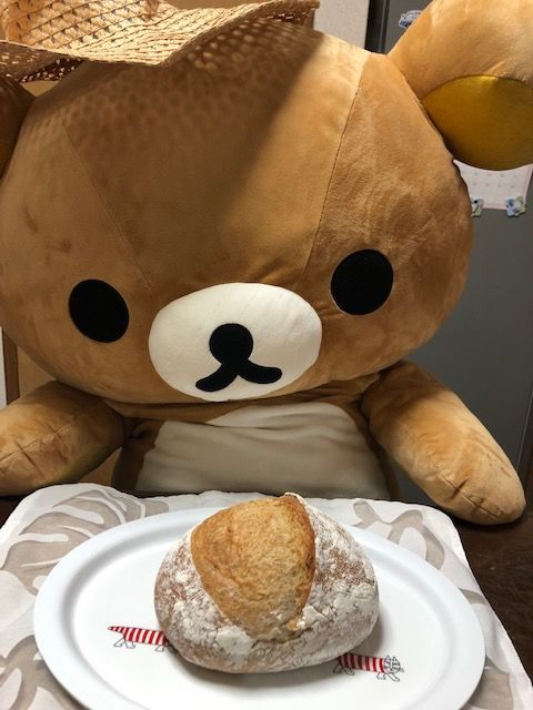 f:id:xkumaco:20191231020546j:plain f:id:xkumaco:20191231020546j:plain