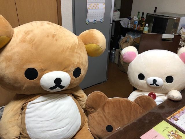 f:id:xkumaco:20191231021901j:plain f:id:xkumaco:20191231021901j:plain