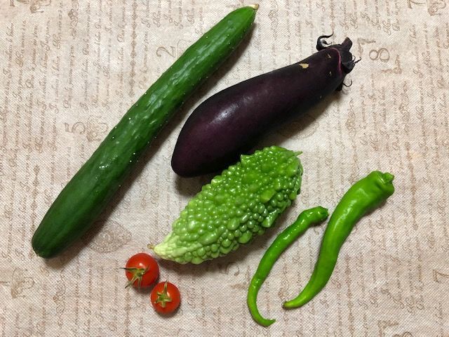 自家製野菜