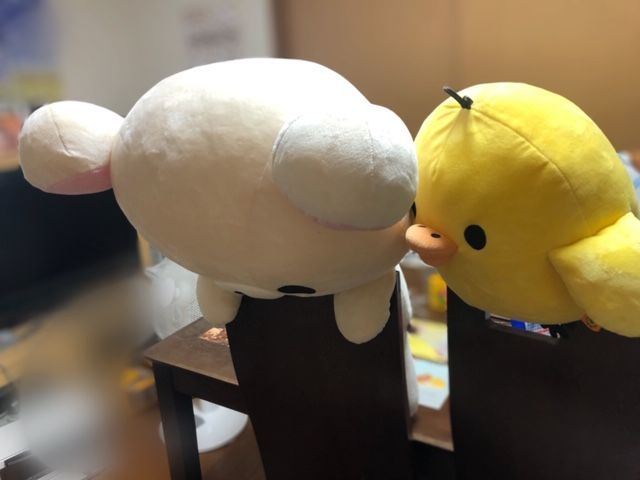 ぬいぐるみクリーニング