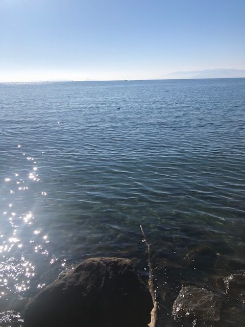 琵琶湖