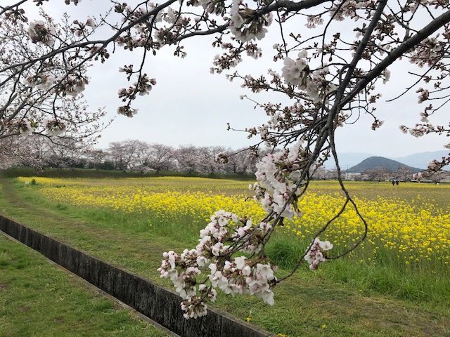 春の景色