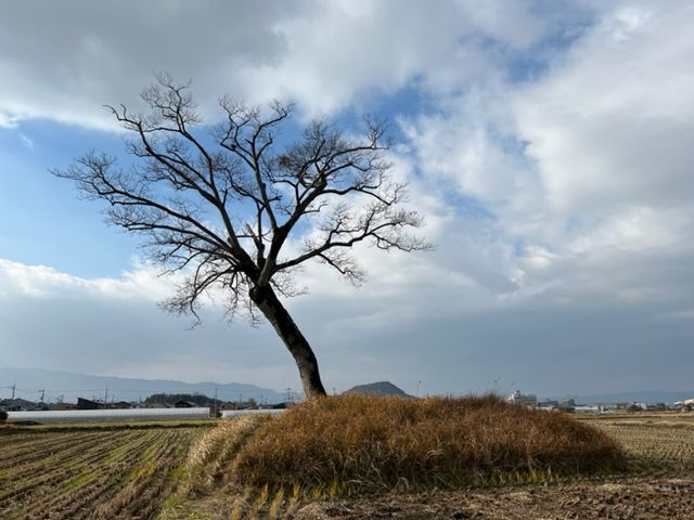 明日香村