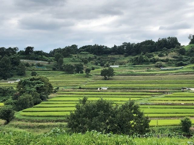 明日香村