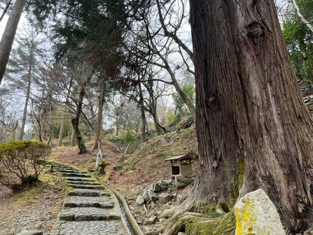 長谷寺