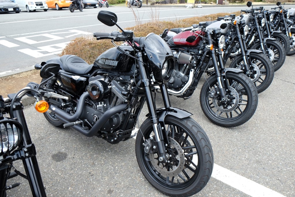 寺田モータースビキニカウル Webike | TERADA MOTORS テラダモータース 寺田モータース