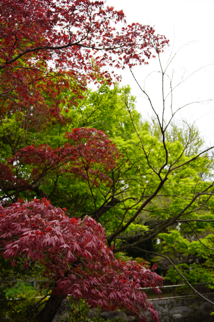 f:id:xl1200cx:20180408022329j:plain
