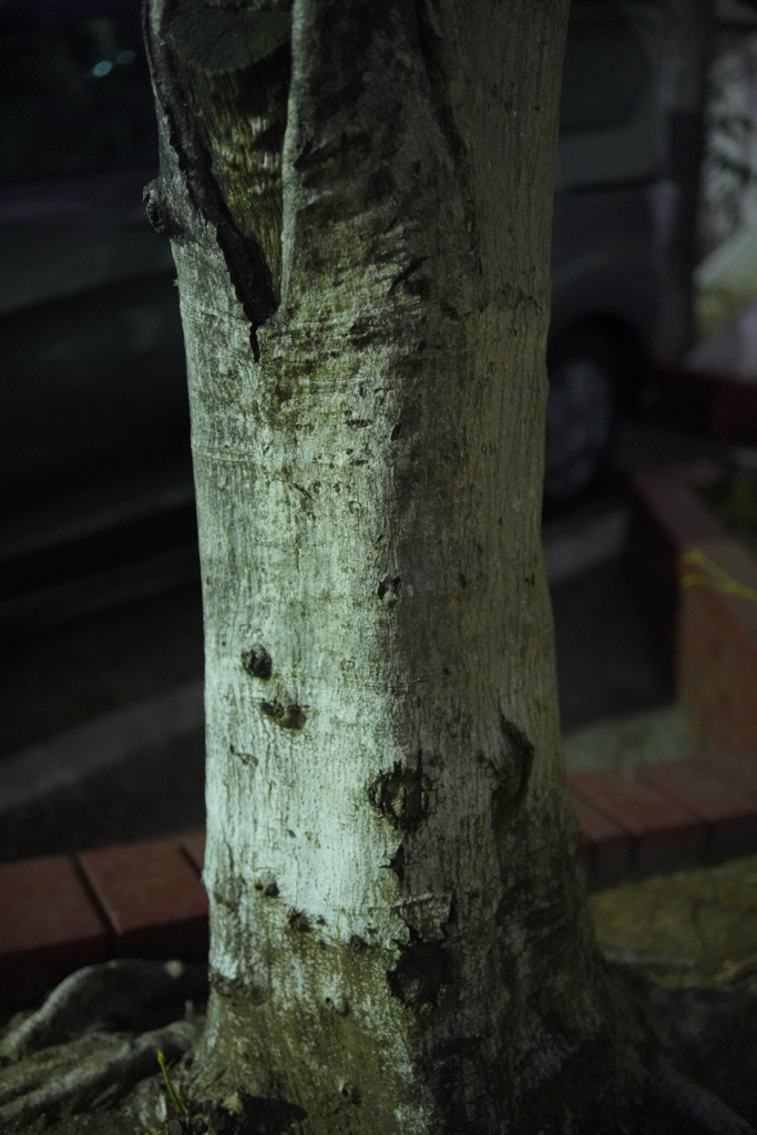 f:id:xl1200cx:20180408022409j:plain