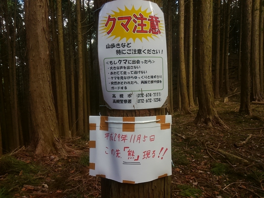 高槻 ポンポン山 あの景色が見たい