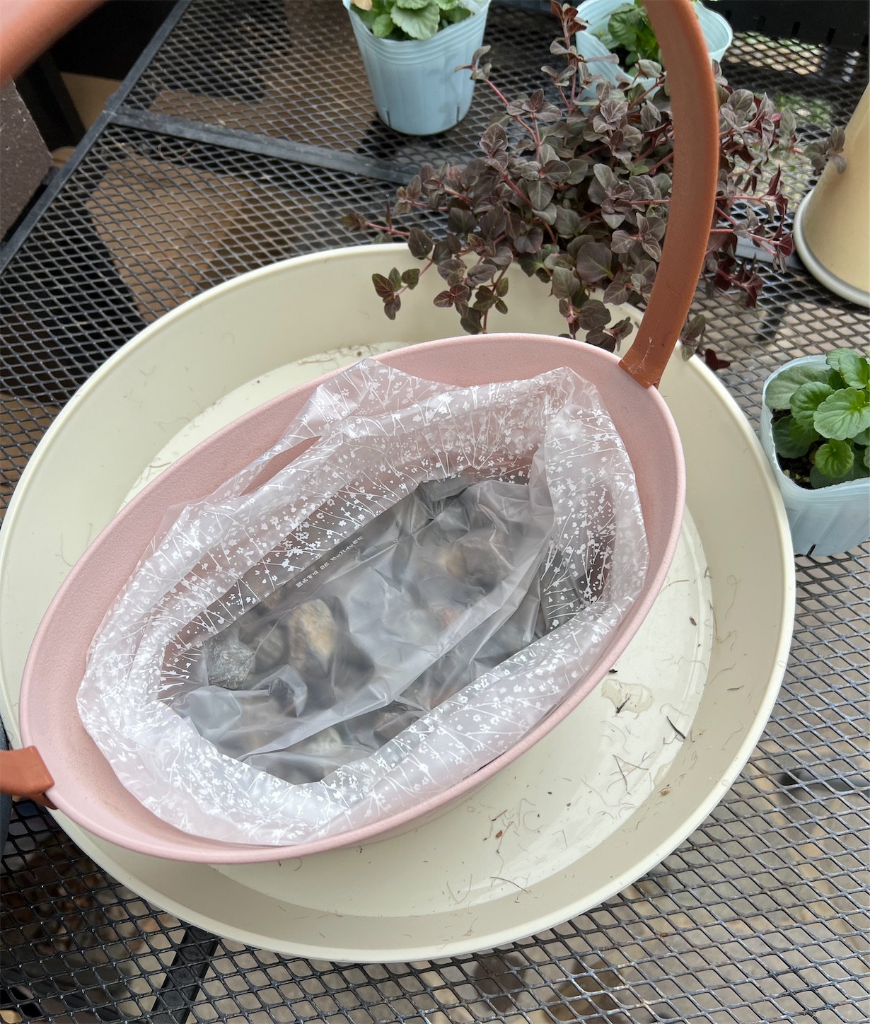 水遣りサポート資材＊アクアセルキューブ＊を鉢底に入れた寄せ植え