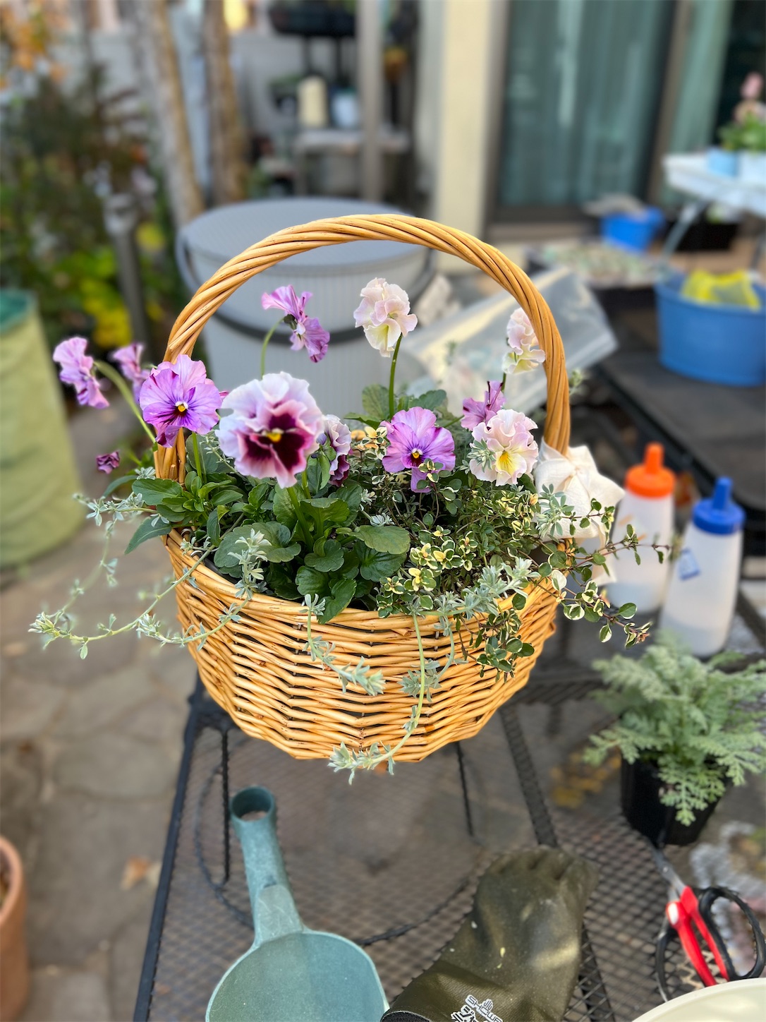 培養土を使わないナチュラルなバスケット寄せ植え - 雑木とクレマチス