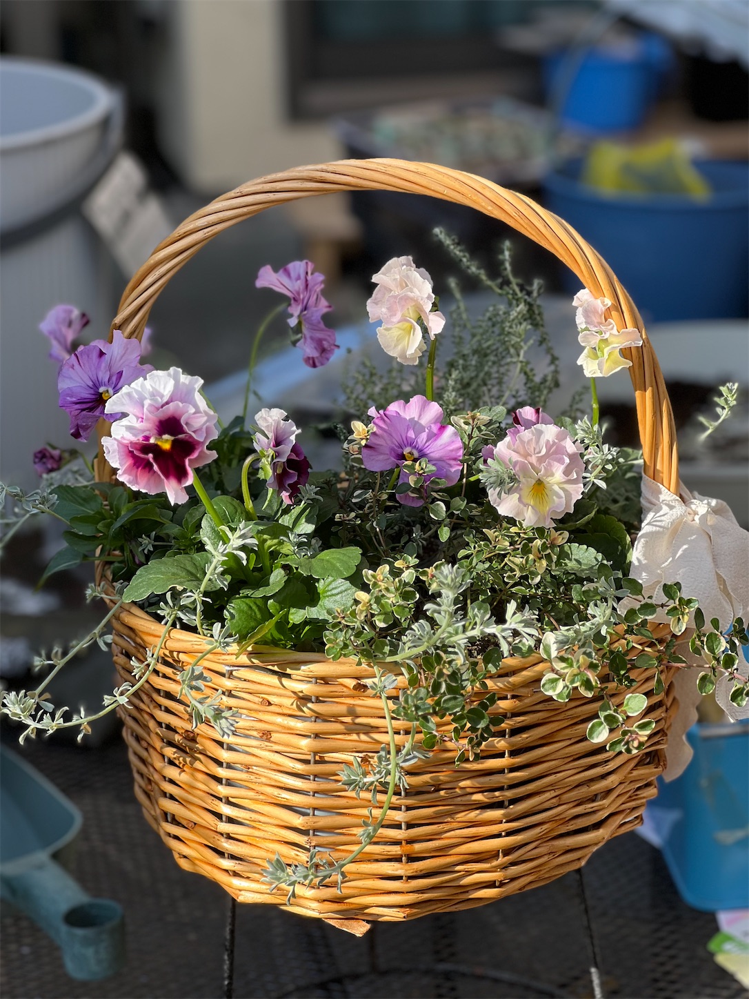 培養土を使わないナチュラルなバスケット寄せ植え - 雑木とクレマチス