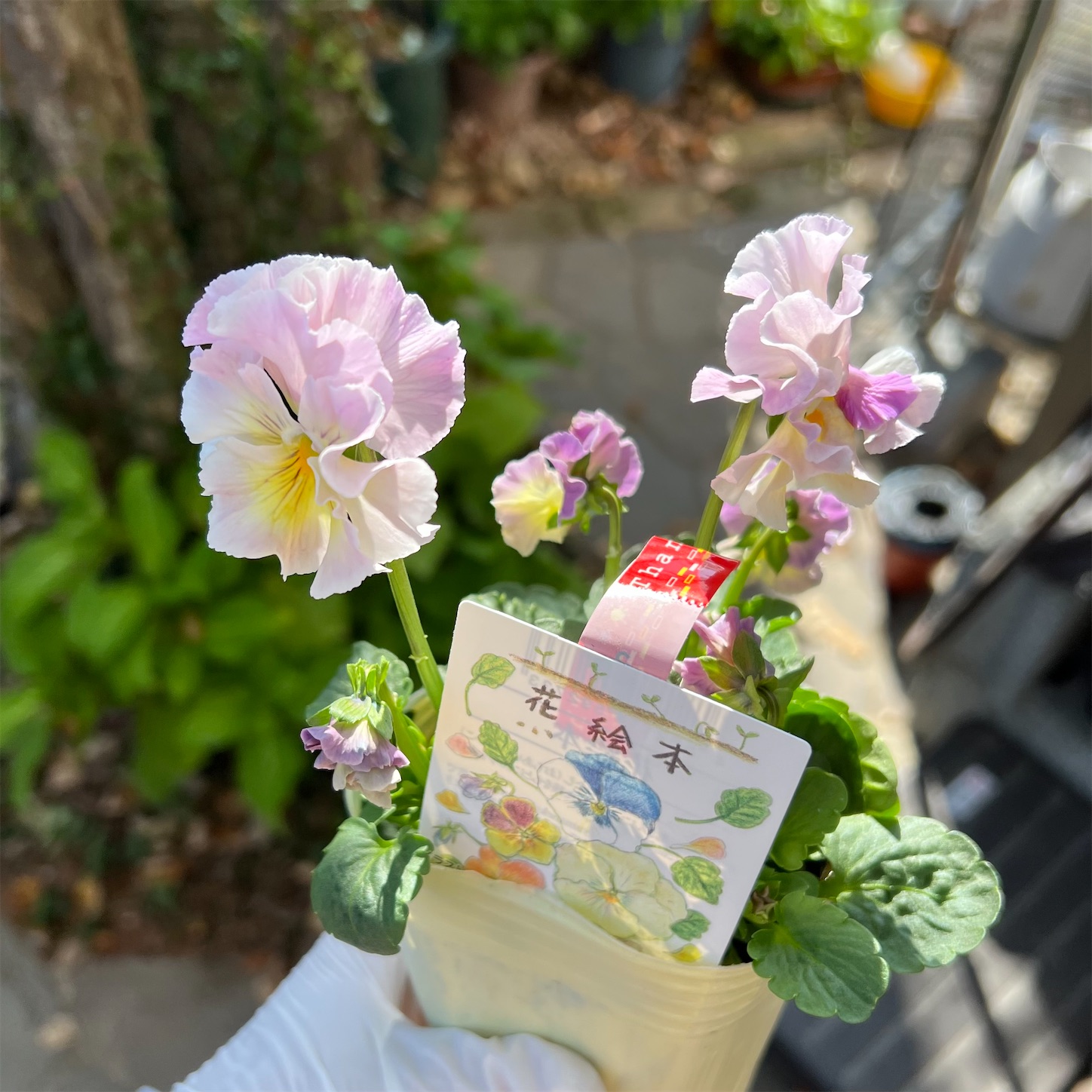 培養土を使わないナチュラルなバスケット寄せ植え - 雑木とクレマチス
