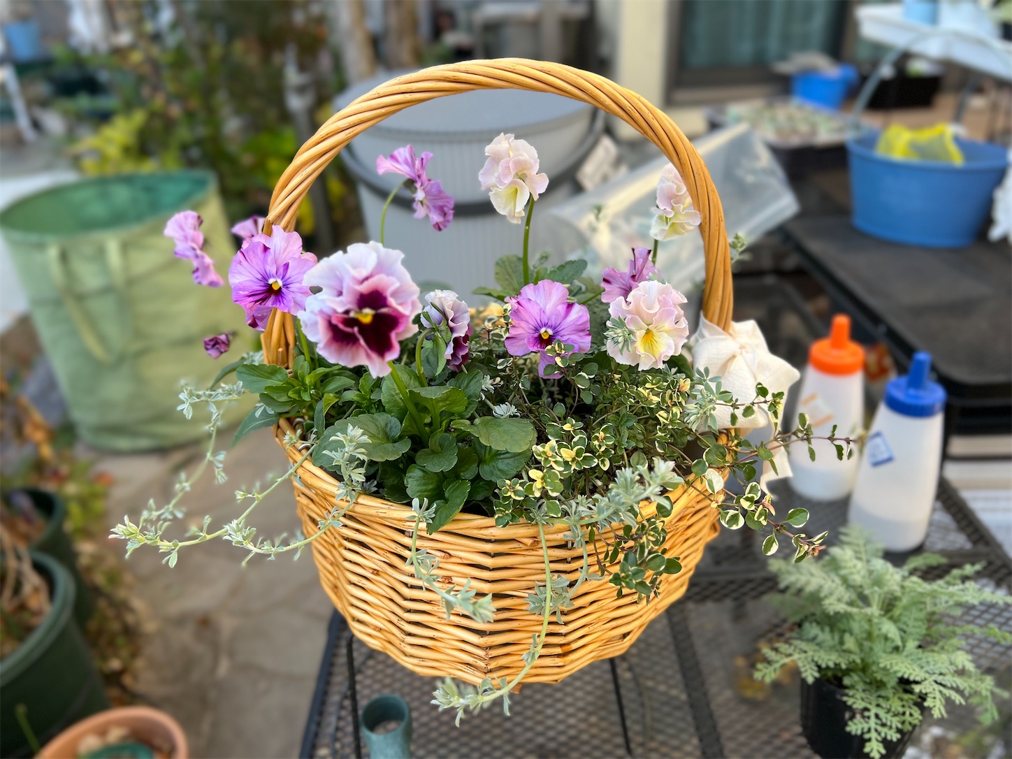 培養土を使わないナチュラルなバスケット寄せ植え - 雑木とクレマチス