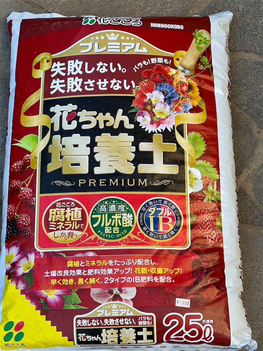 f:id:xmas-rose:20251210063203j:image