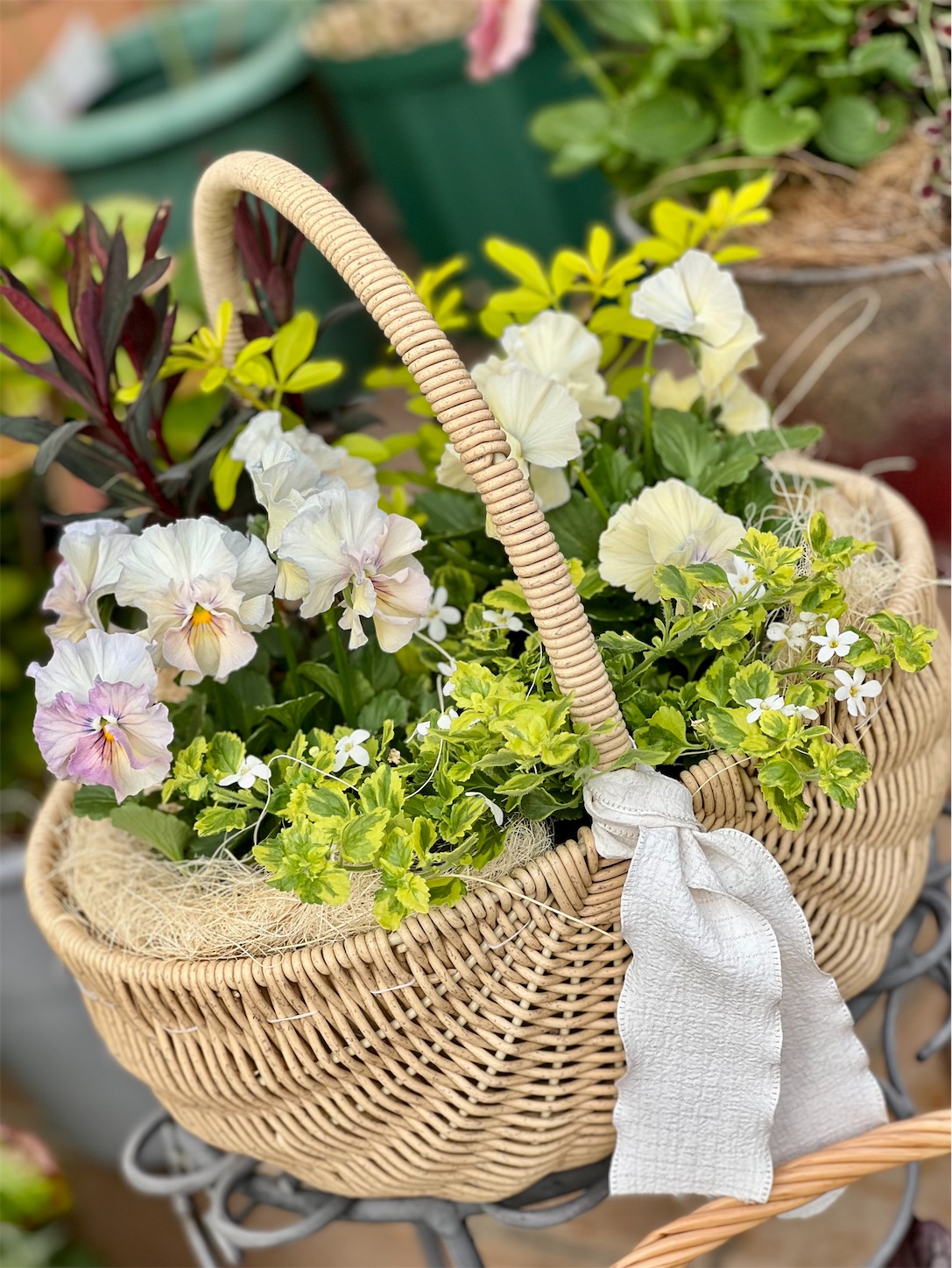ビオパンの寄せ植え＊2025まとめ その1＊ - 雑木とクレマチスの小さな庭