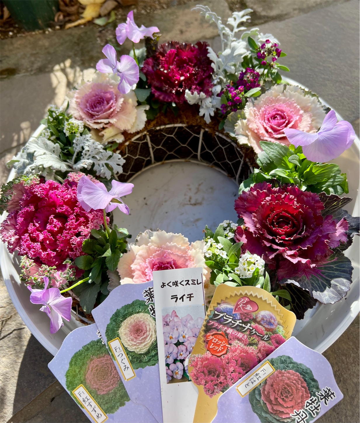 ハボタンリース完成しました⭐︎ - 雑木とクレマチスの小さな庭