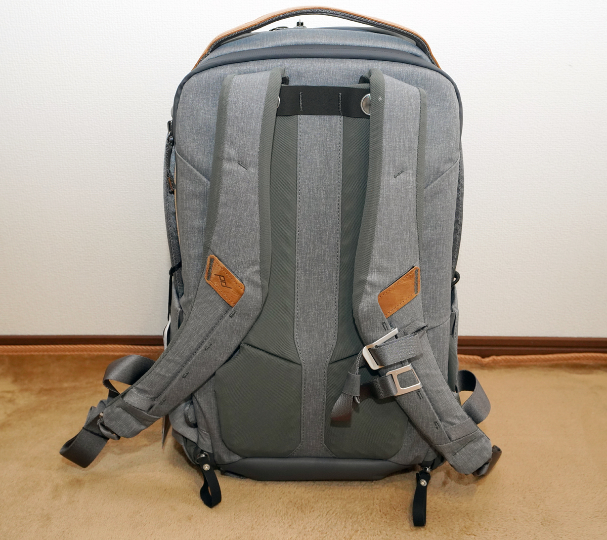 PeakDesign (ピークデザイン) エブリデイ バックパック ジップ 20L