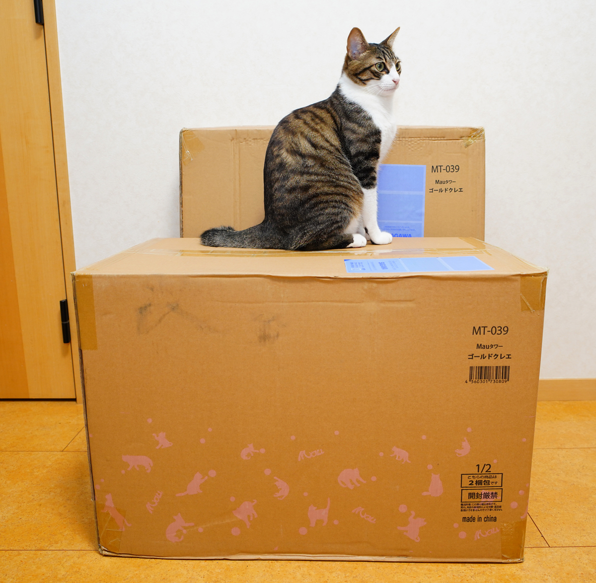 Mau キャットタワー ゴールドクレエ レビュー - 買ってから考える