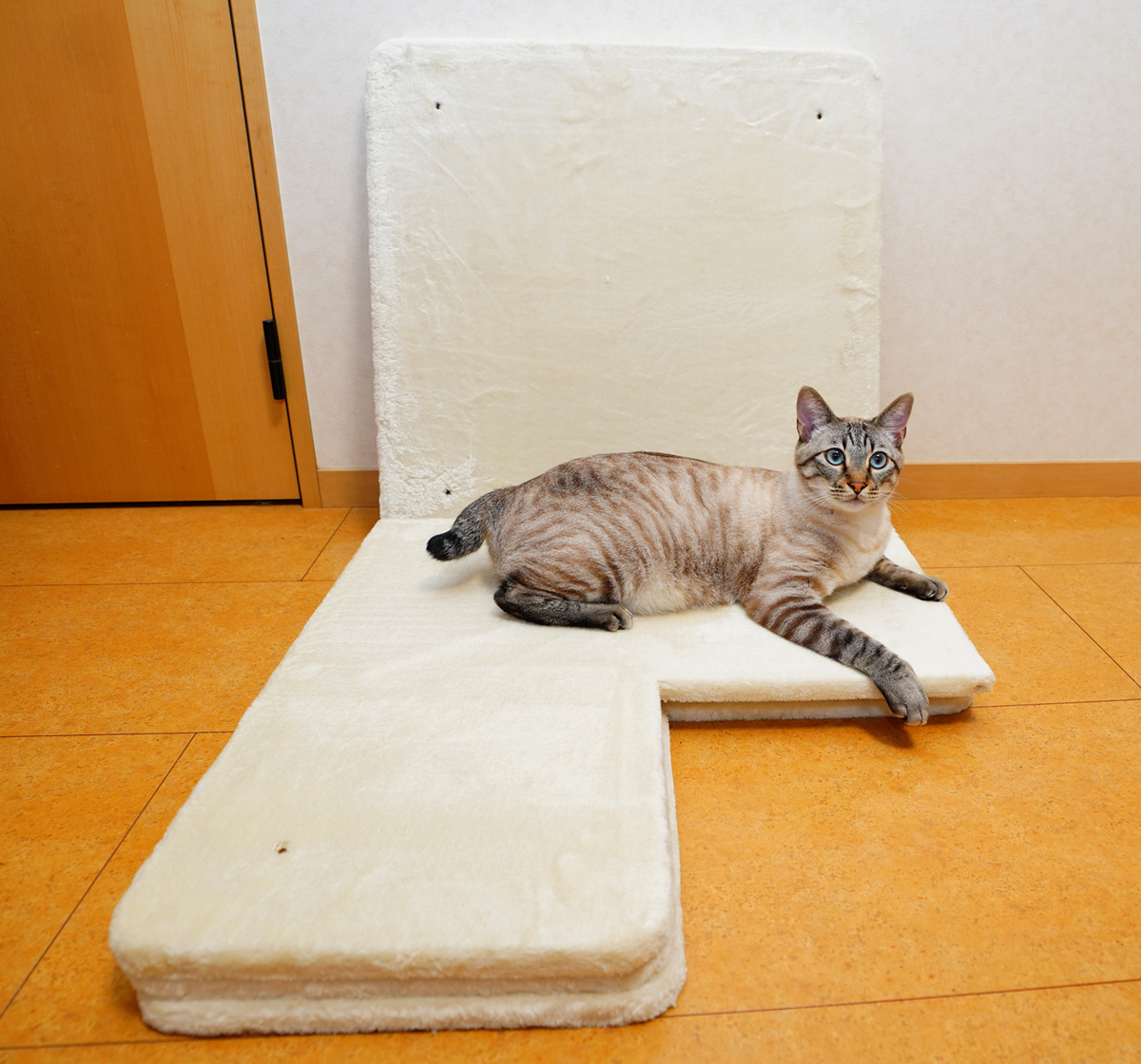 Mau キャットタワー ゴールドクレエ レビュー - 買ってから考える