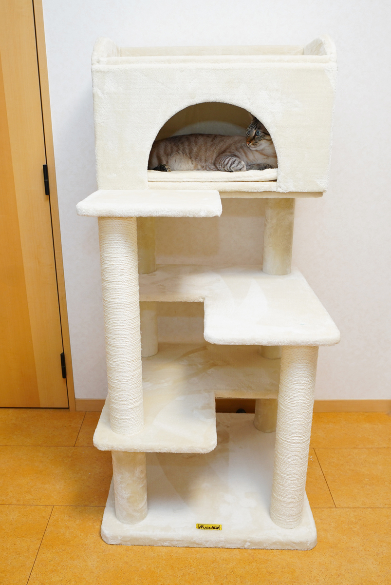 Mau キャットタワー ゴールドクレエ レビュー - 買ってから考える