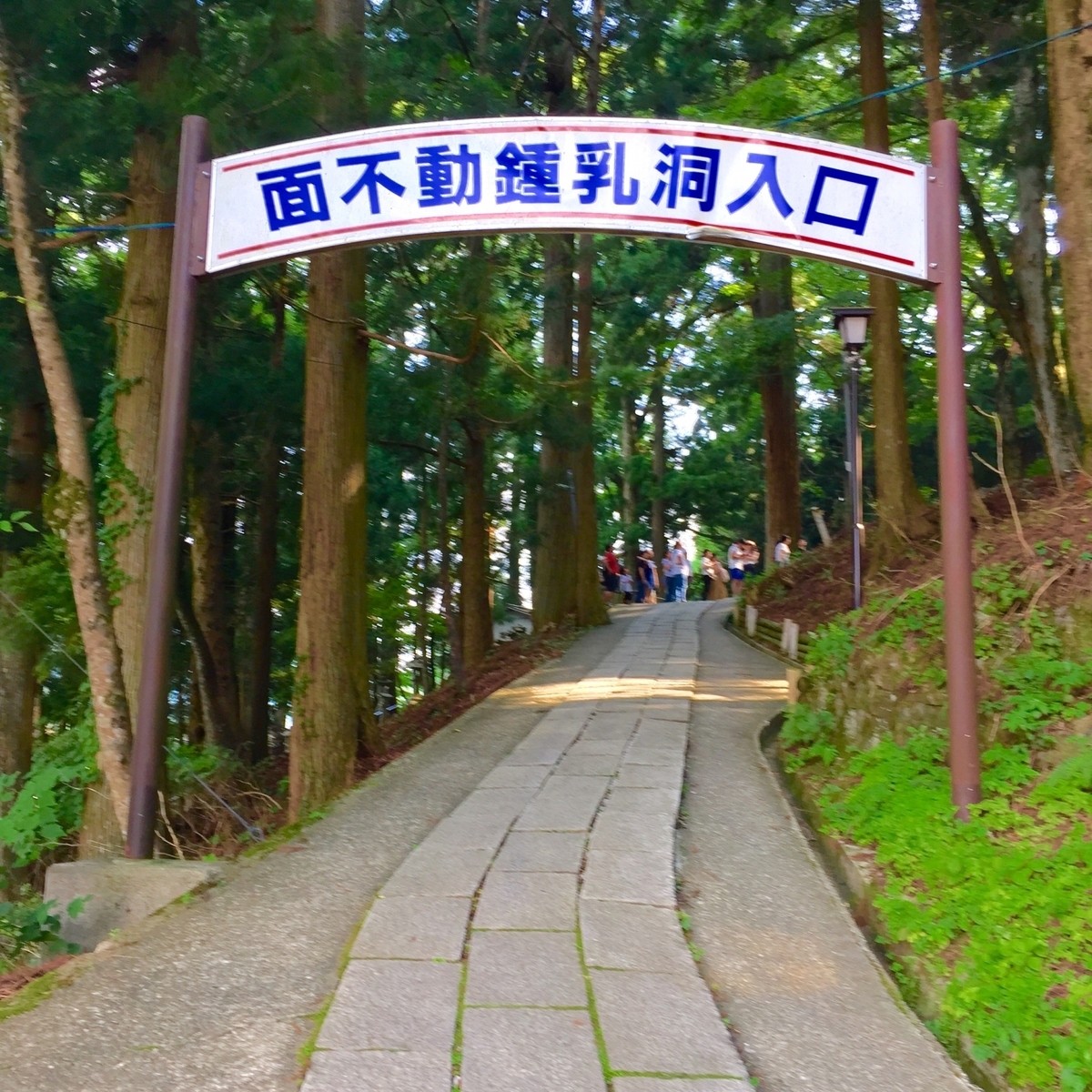 f:id:xmikann:20200103130757j:plain f:id:xmikann:20200103130757j:plain