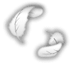 f:id:xmllab:20091228014515g:image f:id:xmllab:20091228014515g:image