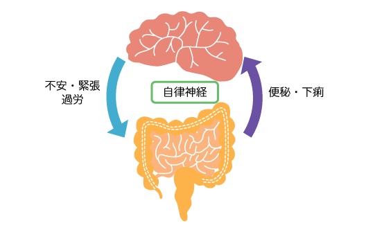 ソース画像を表示