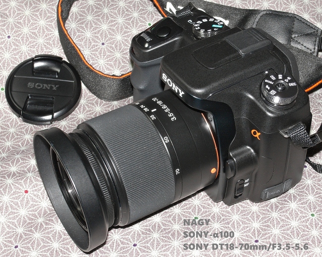 SONY-α100 - nagy's diary SONY-α100 - nagy's diary