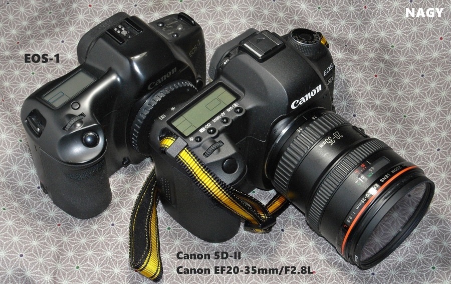Canon EF 20-35mm F2.8L ズームレンズ（Near Mint] Canon EF 20-35mm f 