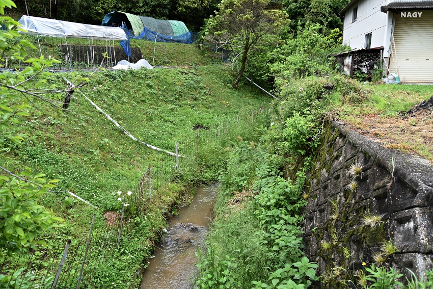 生駒市 201807 生駒聖天お彼岸万燈会 今年の開催期間 2025年9月23日（火） 雨天