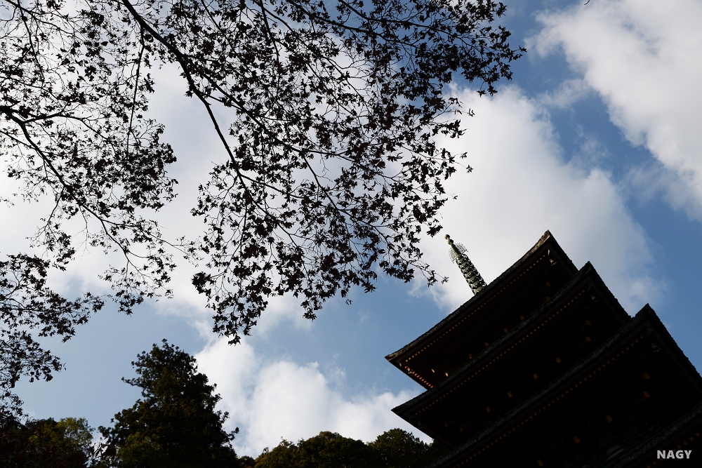 f:id:xnagy:20211215194905j:plain