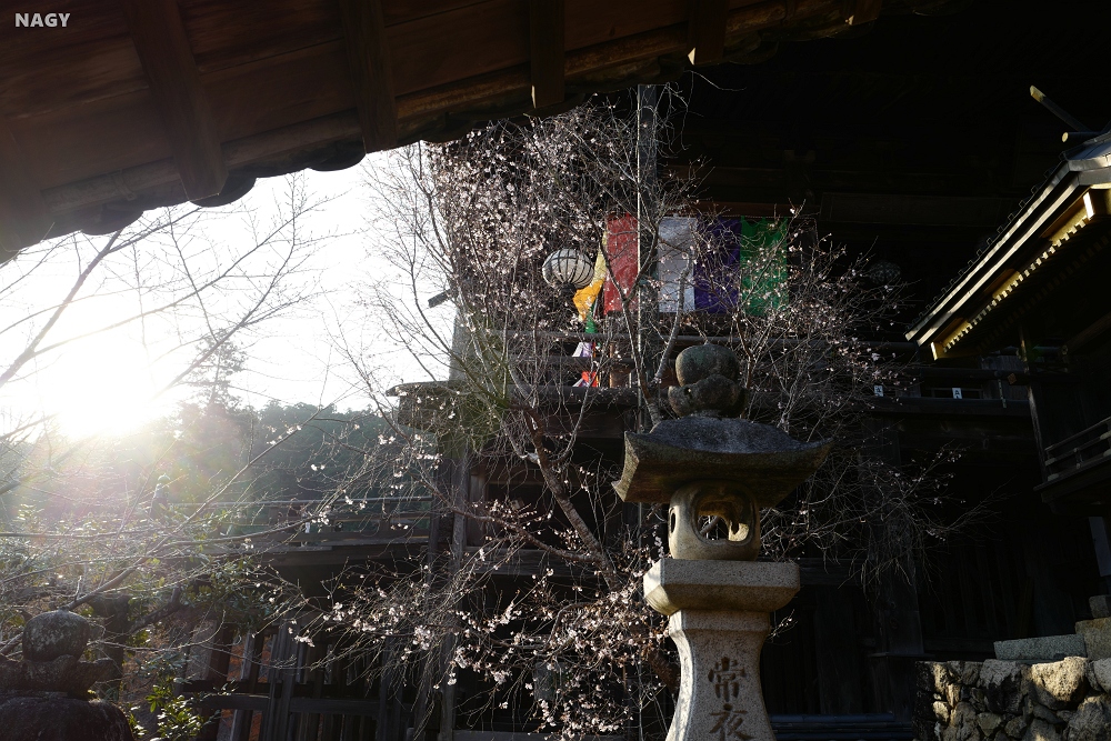 f:id:xnagy:20211215194923j:plain