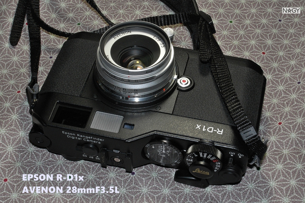EPSON R-D1x ＋ AVENON 28mmF3.5L - nagy's diary