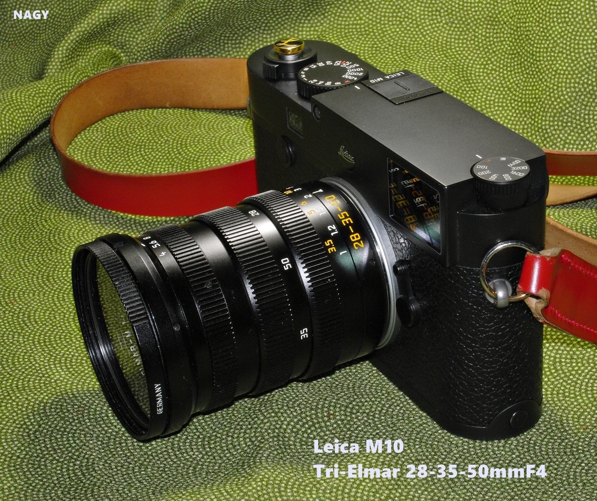 Leica M10 / Tri-Elmar 28-35-50mmF4 - nagy's diary