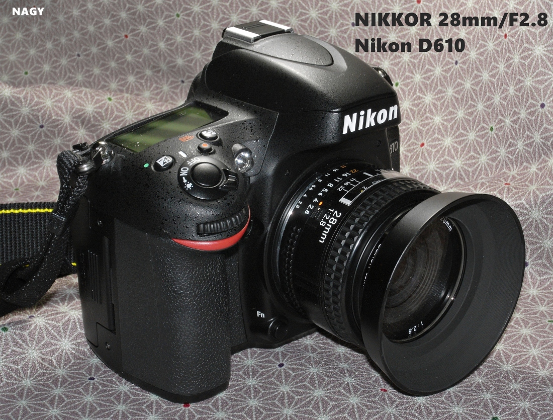 Nikon ニコン AF 28mm F2.8D レンズ デジタル一眼カメラ アリバイ日記: 【オールドレンズ?】Nikon AF NIKKOR 28mm F2.8