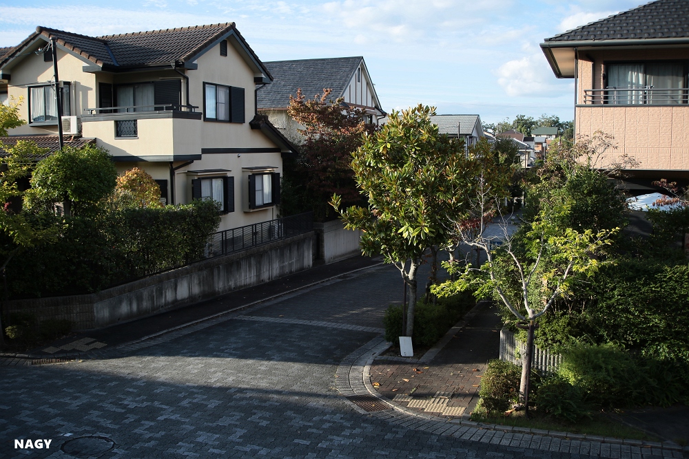 Canon EF35-135mm/F4-5.6の2 - nagy's diary Canon EF35-135mm/F4-5.6の2 - nagy's diary