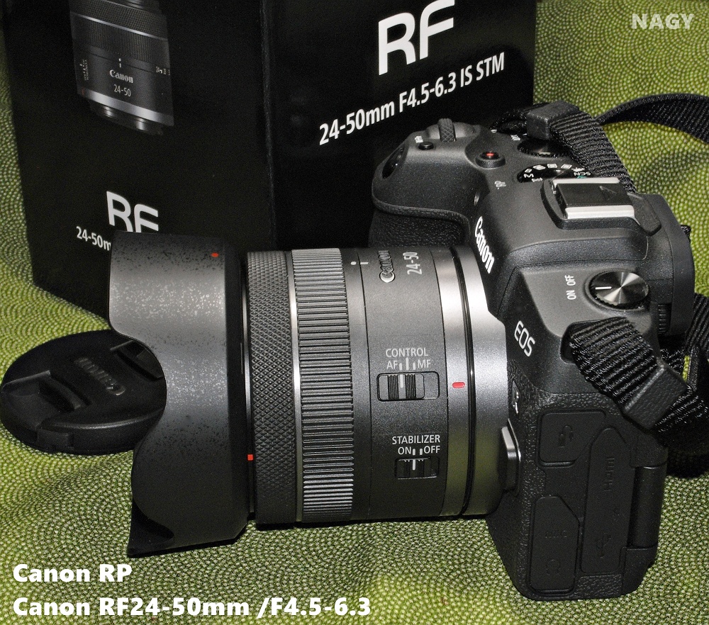 Canon RF24-50mm /F4.5-6.3 - nagy's diary