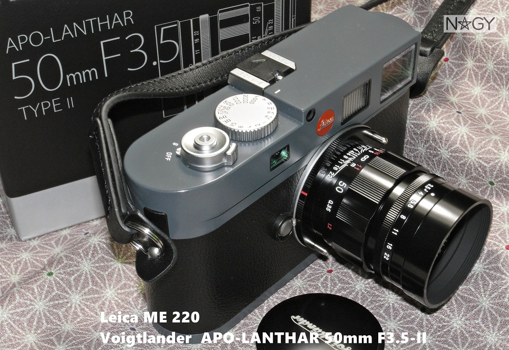 Voigtlander APO-LANTHAR 50mm F3.5-II - nagy's diary
