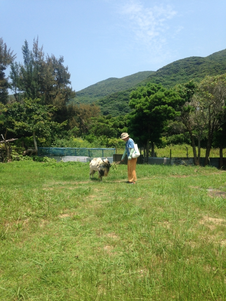 f:id:xnaoko:20170723143701j:plain f:id:xnaoko:20170723143701j:plain