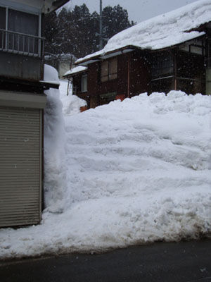 f:id:xnissy:20080307103729j:image f:id:xnissy:20080307103729j:image