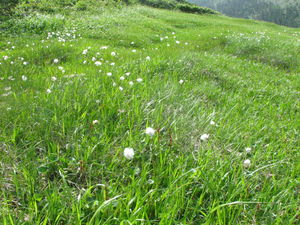 f:id:xnissy:20080720085351j:image