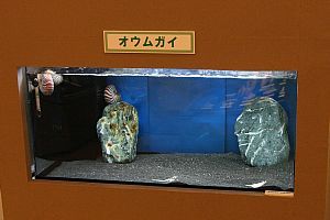 f:id:xnissy:20081122140049j:image f:id:xnissy:20081122140049j:image