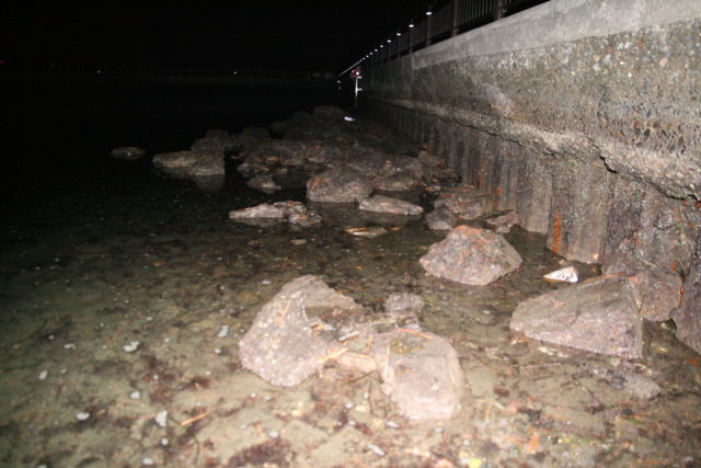 f:id:xnissy:20081214234322j:image:w300