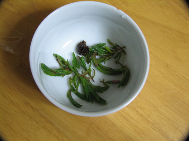f:id:xnissy:20090509194916j:image:w320 f:id:xnissy:20090509194916j:image:w320