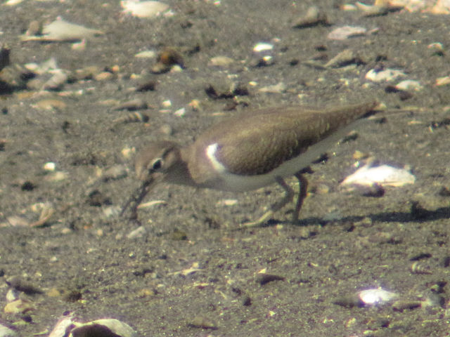 f:id:xnissy:20091016115608j:image:w320