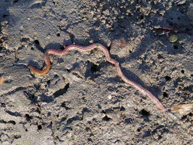 f:id:xnissy:20091016144735j:image:w320