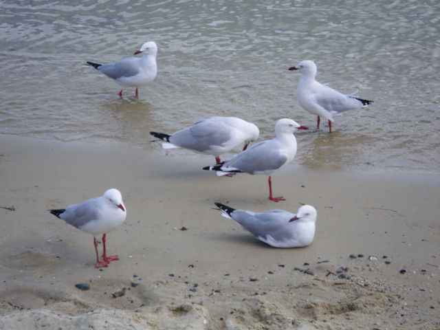 f:id:xnissy:20091116093033j:image:w320
